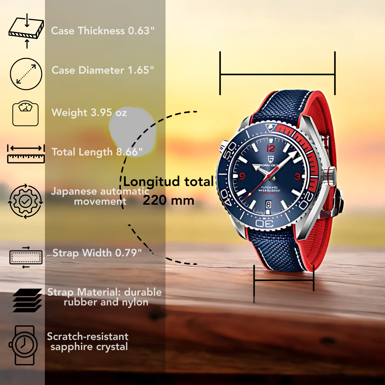 PAGANI Automatic Watch Feature Icons Overview – The Crew