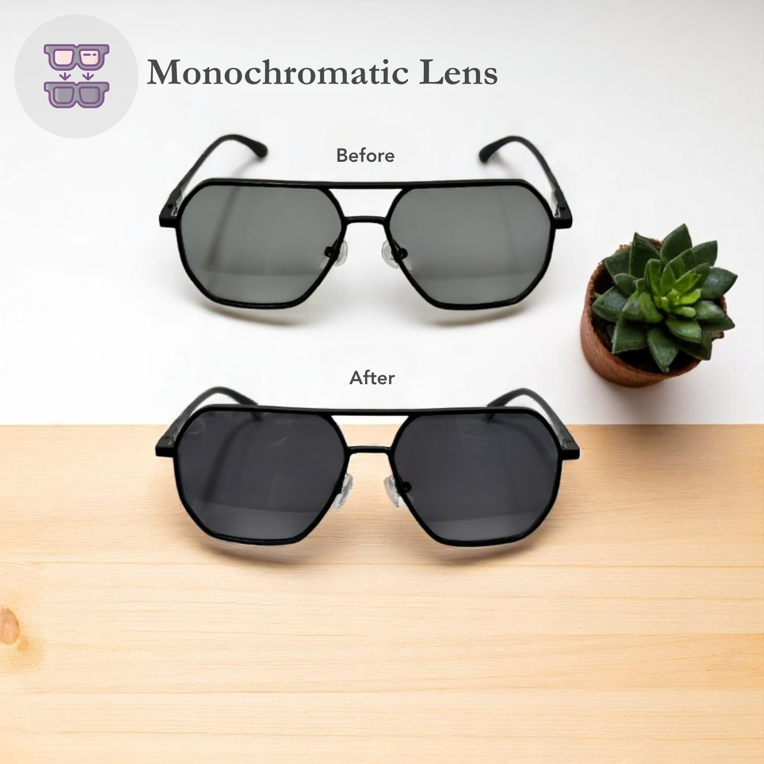 Men photochromic sunglasses retail desk display – The Crew