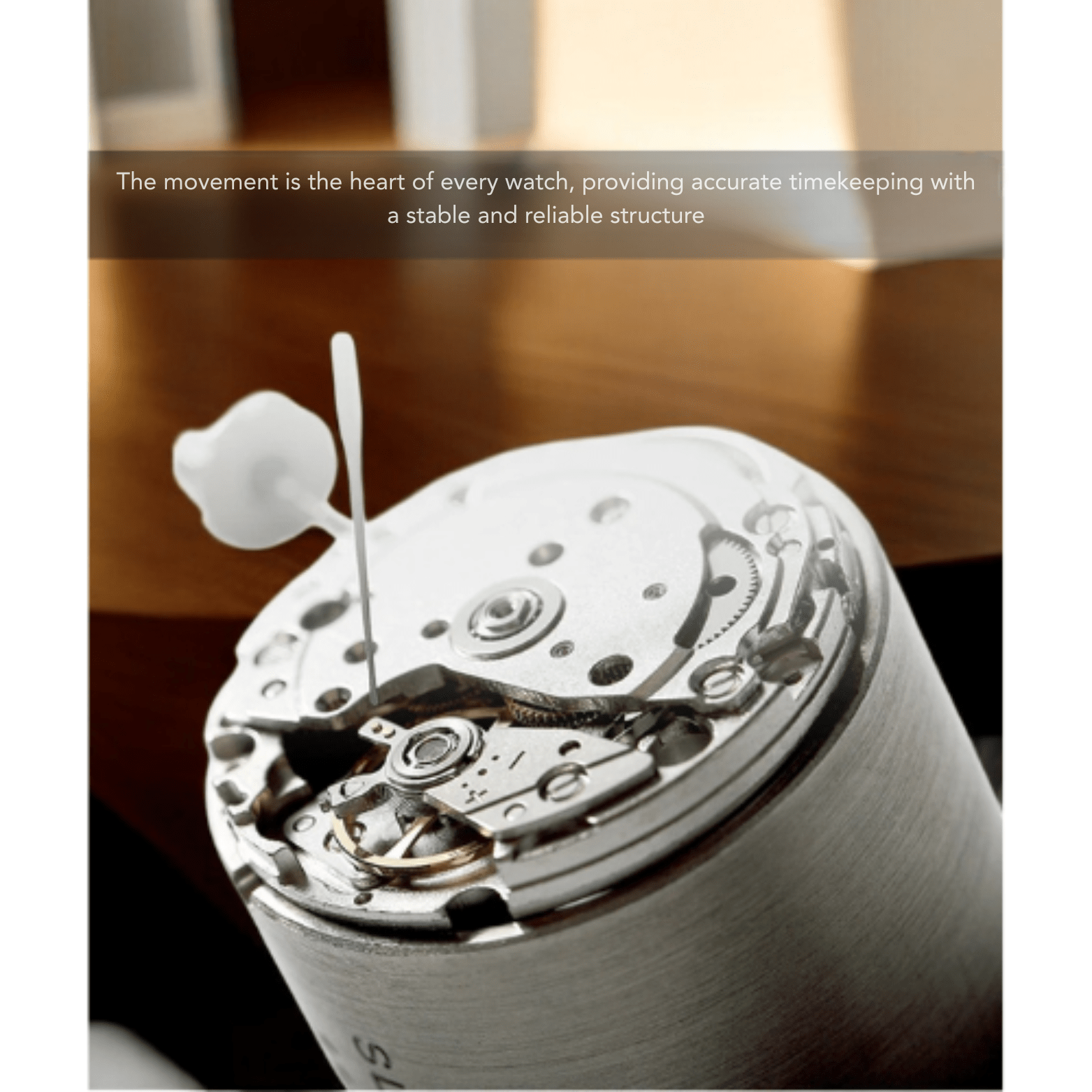 PAGANI Sapphire Crystal Mechanical Watch – Men’s Luxury Style - The Crew